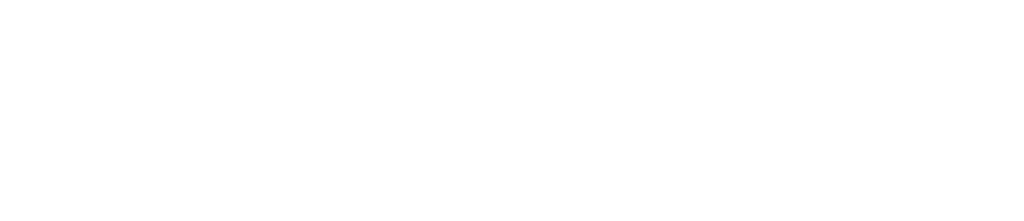 SAMURAI PLUS